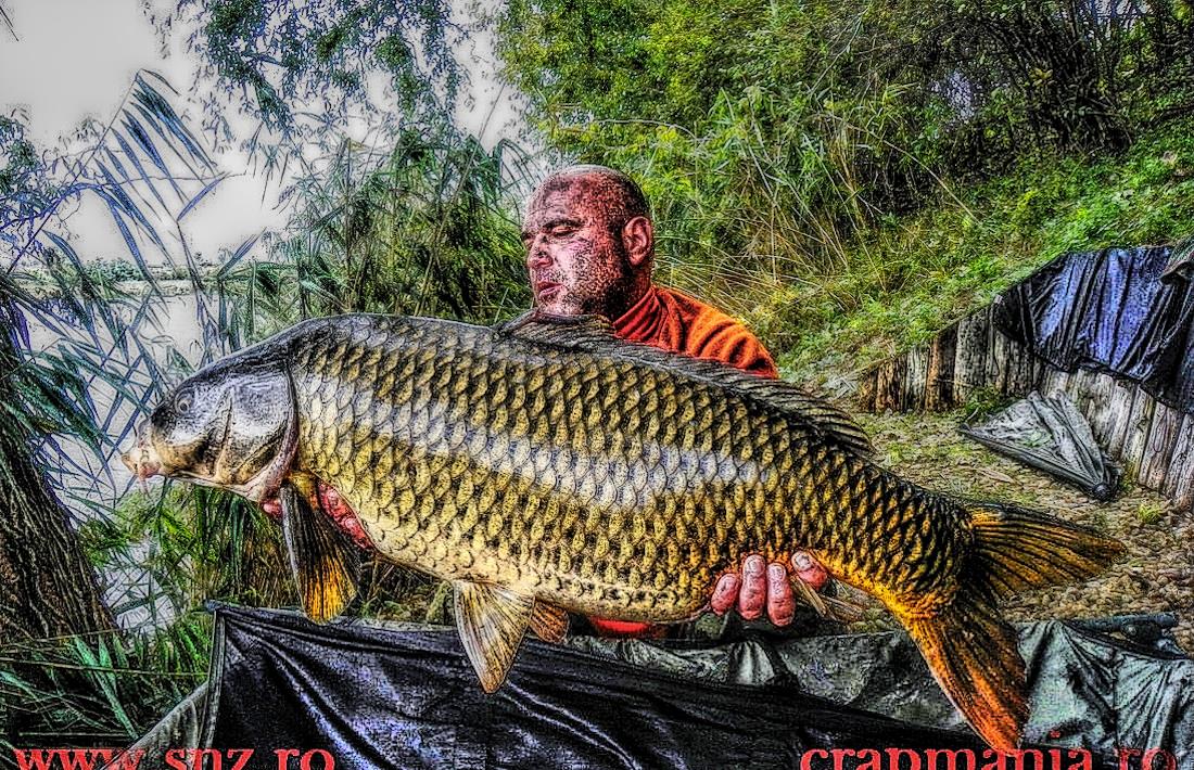 Boiliesmania 2013  (4) - 1031699hdrmode2.jpg